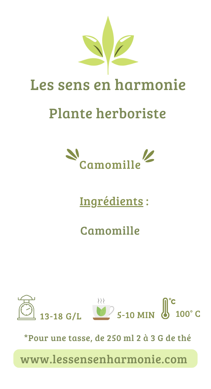 Plante naturel de Camomille