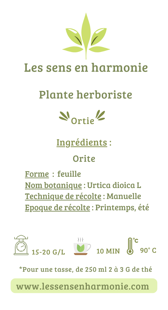 Plante naturel d'Ortie